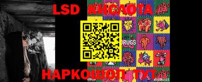 a pvp Ирбит