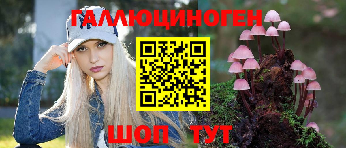 Псилоцибиновые грибы Magic Shrooms  Псилоцибиновые грибы ЛСД  Магадан  Вход с VPN 