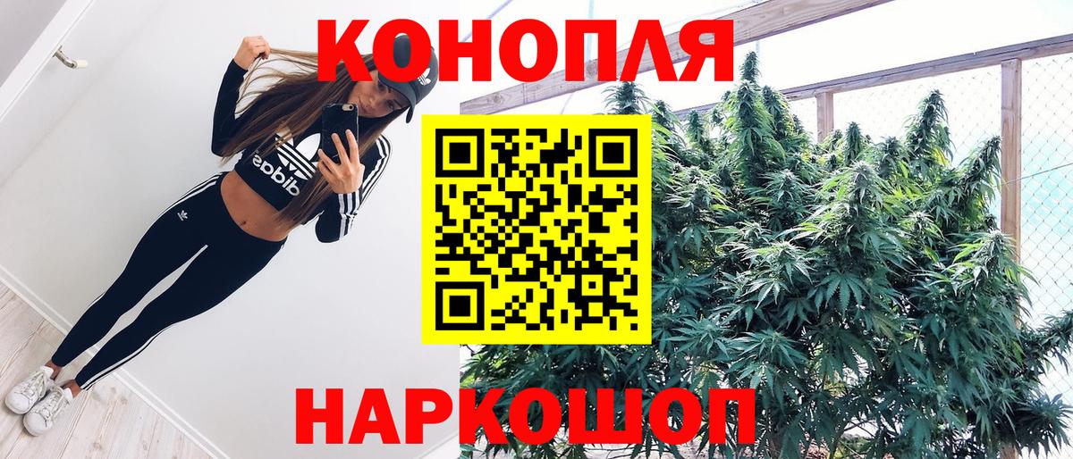 Конопля конопля  Шишки марихуана Bruce Banner  Магадан  Марихуана Ganja  Каннабис Ganja  Вход с VPN 
